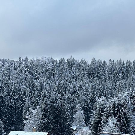 Penzion Verde Rosa Harrachov Ngoại thất bức ảnh